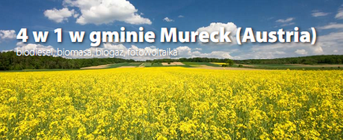1203 mureck